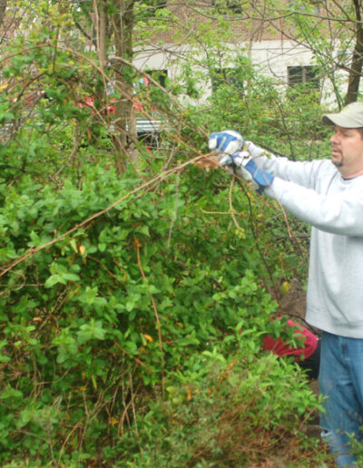 Clearing brush at Newtown Creek