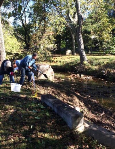 Volunteers digging holes along creek