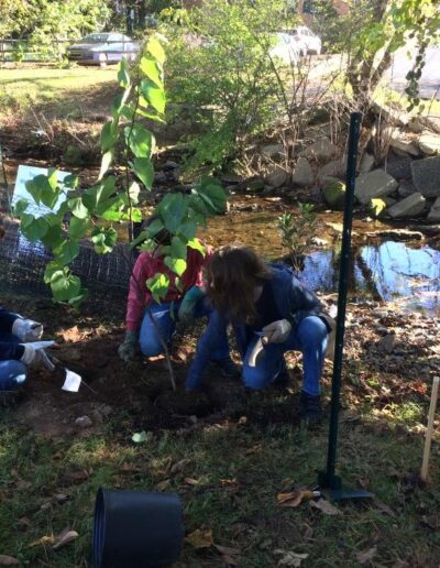 Volunteers planting trees along creek